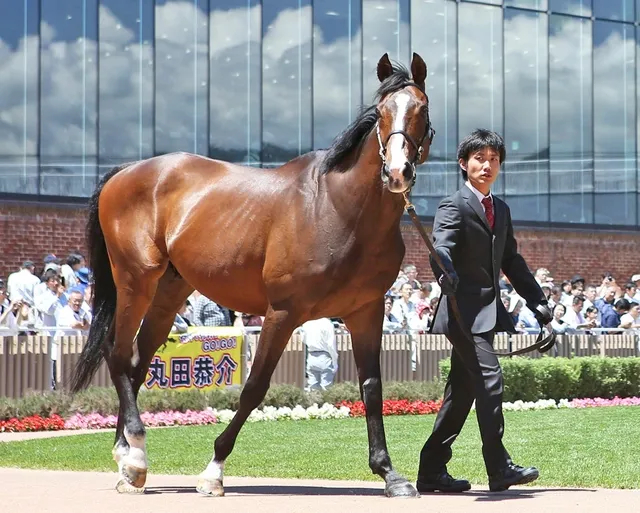 【栄光の証】デルタブルース、メルボルンC制覇の衝撃と日本馬の底力