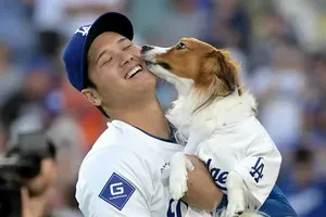 大谷翔平の地区優勝、愛犬デコピンのカメラ目線が日米で話題に