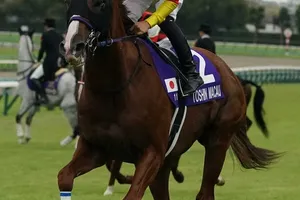 トウシンマカオ、スプリンターズSで健闘も首差の2着に、悲願のG1初勝利はならず