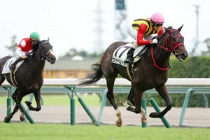 ロケベンドラ、圧勝でデビュー！新星誕生の瞬間を競馬ファンが熱視線