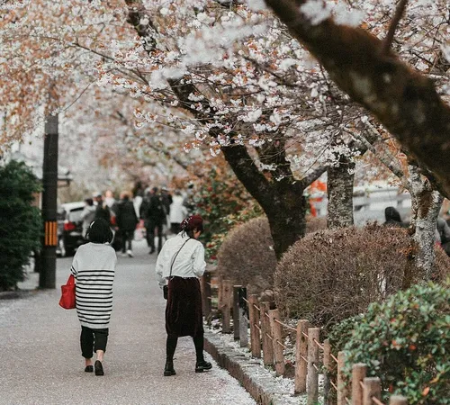 The Best Hotel A Kyoto Comprehensive Guide to Staying in Japan’s Cultural Heart