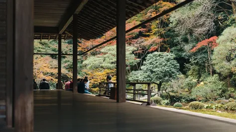 A Journey Through Kyoto: Zazen Meditation and the Pursuit of Deep Learning