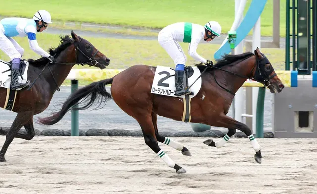 ローランドバローズ、2歳新馬戦で鮮やか勝利！血統の価値を証明