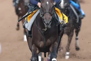 【府中牝馬Ｓ】マスクトディーヴァとブレイディヴェーグの枠順決定　重賞3勝目と復帰戦の行方は？