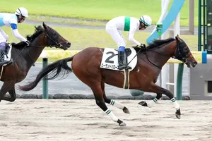 ローランドバローズ、2歳新馬戦で鮮やか勝利！血統の価値を証明