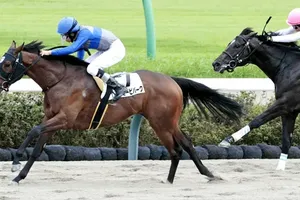 ハッピービバーグ、デビュー戦で圧勝！横山和生騎手400勝達成